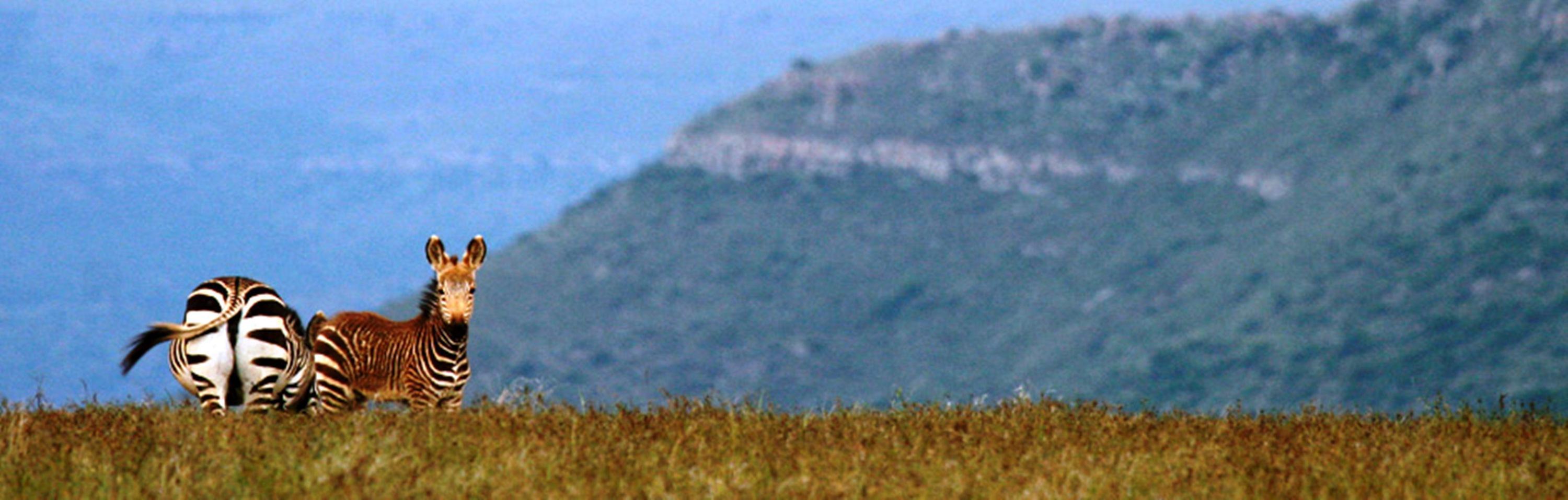 Mount Camdeboo 호텔 Graaff-Reinet 외부 사진