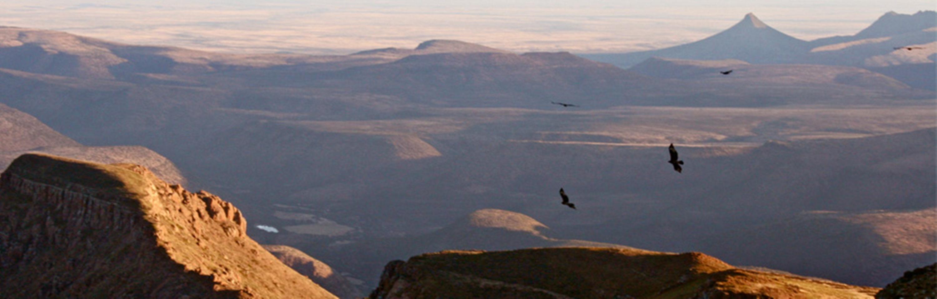 Mount Camdeboo 호텔 Graaff-Reinet 외부 사진